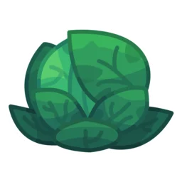 Cabbage